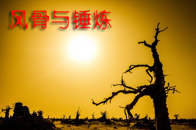 时雨：风骨与锤炼